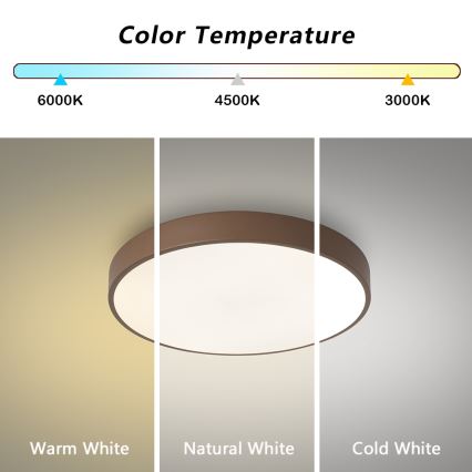 Brilagi - LED plafonsko svetlo POOL LED/36W/230V 3000/4000/6000K prečnik 30 cm braon