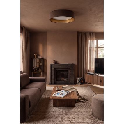 BRILAGI - LED plafonsko svetlo VELVET VARI LED/24W/230V 3000/4000/6500K prečnik 45 cm braon/zlatna