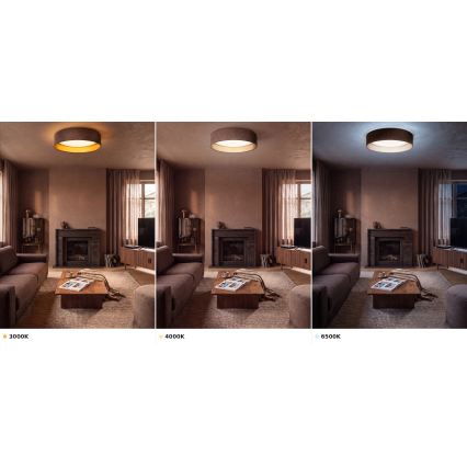 BRILAGI - LED plafonsko svetlo VELVET VARI LED/24W/230V 3000/4000/6500K prečnik 45 cm braon/zlatna
