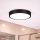 Brilagi - LED stropna svetiljka za kupatilo POOL LED/24W/230V 3000/4000/5500K prečnika 30 cm IP54 crna