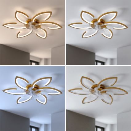 Brilagi - LED prigušiva plafonska lampa sa ventilatorom LED/34W/230V prečnik 78 cm zlatna + daljinski upravljač