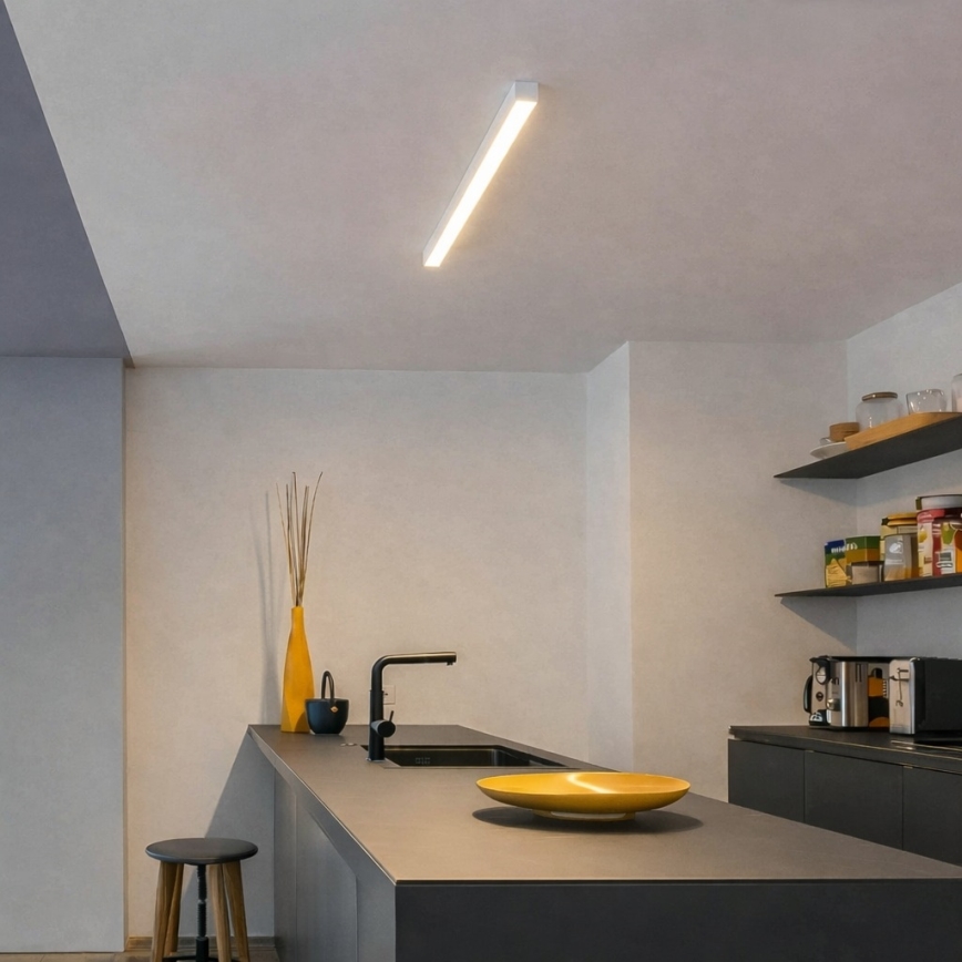 Brilagi - LED plafonsko površinski montirano svetlo FULLDAY LED/10/15/20W/230V 2700/4000/6000K 60 cm bela