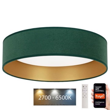 Brilagi - LED Stropno prigušiva svetlo VELVET SMART LED/36W/230V prečnika 55 cm 2700-6500K Wi-Fi Tuya zelena/zlatna + daljinski upravljač