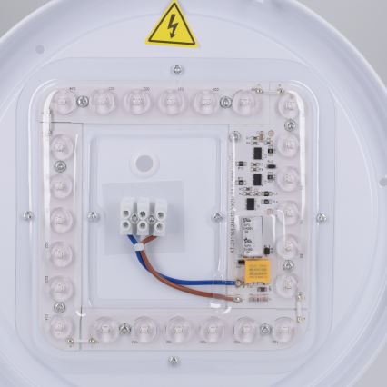 Brilagi - LED stropno svetlo MATTEO LED/24W/230V prečnik 31 cm zelena