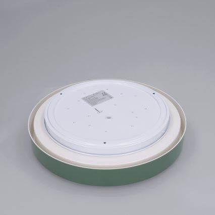 Brilagi - LED stropno svetlo MATTEO LED/24W/230V prečnik 31 cm zelena