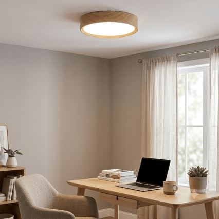 BRILAGI - LED stropno svetlo NATURA LED/24W/230V 4000K prečnik 38,3 cm