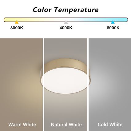 BRILAGI - LED stropno svetlo POOL LED/24W/230V 3000/4000/6000K prečnika 20 cm zlatno