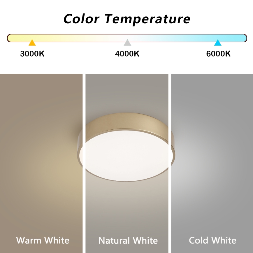 BRILAGI - LED stropno svetlo POOL LED/24W/230V 3000/4000/6000K prečnika 20 cm zlatno