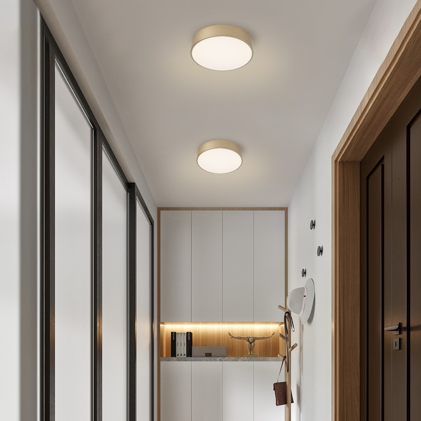 BRILAGI - LED stropno svetlo POOL LED/24W/230V 3000/4000/6000K prečnika 20 cm zlatno