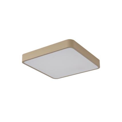 Brilagi - LED stropno svetlo POOL LED/48W/230V 3000/4000/6000K 50x50 cm bež