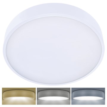 Brilagi - LED stropno svetlo POOL LED/48W/230V 3000/4000/6000K prečnik 40 cm belo