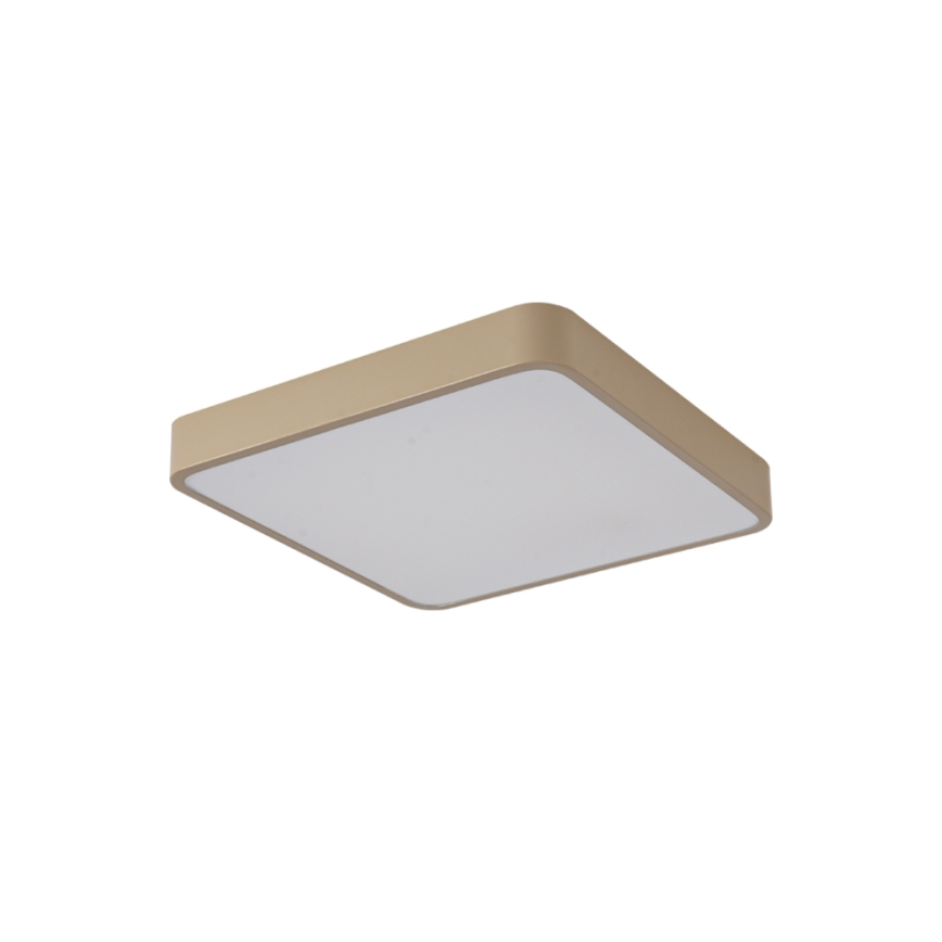 Brilagi - LED stropno svetlo POOL LED/48W/230V 3000/4500/6000K 50x50 cm bež
