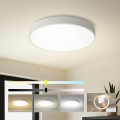 Brilagi - LED stropno svetlo POOL LED/60W/230V 3000/4000/6000K prečnik 60 cm belo