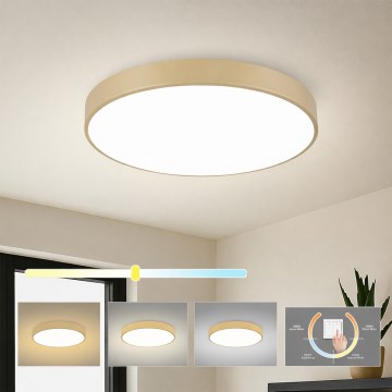 Brilagi - LED stropno svetlo POOL LED/60W/230V 3000/4000/6000K prečnik 60 cm bež