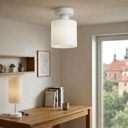 BRILAGI - LED stropno svetlo RETRO GLASS 1xE27/60W/230V Ø 10 cm belo