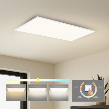 Brilagi - LED stropno svetlo SLIMFRAME LED/80W/230V 120x60 cm 3000/4000/6000K bela