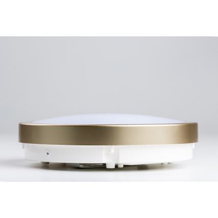 Brilagi - LED stropno svetlo za kupatilo PERA LED/18W/230V, prečnik 22 cm, IP65, zlatno