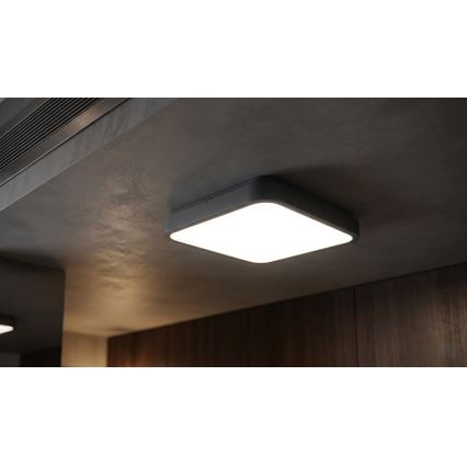 BRILAGI - LED kupatilsko plafonsko svetlo sa senzorom ZENNA LED/24W/230V 34,5x34,5 cm IP44 antracit + daljinski upravljač