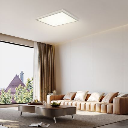 Brilagi - LED plafonsko svetlo za kupatilo FRAME LED/50W/230V 3000/4000/6000K 60x60 cm IP44 srebrna