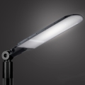 Brilagi - LED Ulična lampa URBANLIGHT LED/250W/230V crna IP65