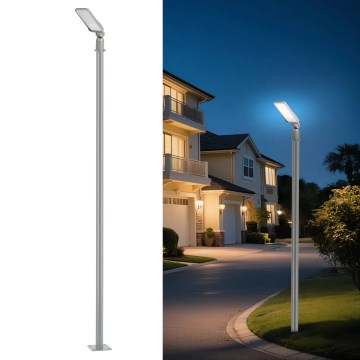 Brilagi - LED ulična lampa za spoljašnju upotrebu sa stubom i zglobom 3 m URBANLIGHT LED/50W/230V, siva, IP65