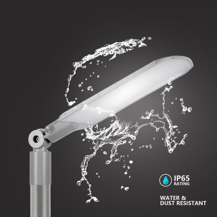 Brilagi - LED ulična svetiljka URBANLIGHT LED/250W/230V siva IP65