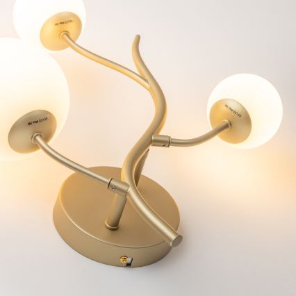 Brilagi - LED zidna lampa MISTEL 3xG9/3W/230V zlatna/bela