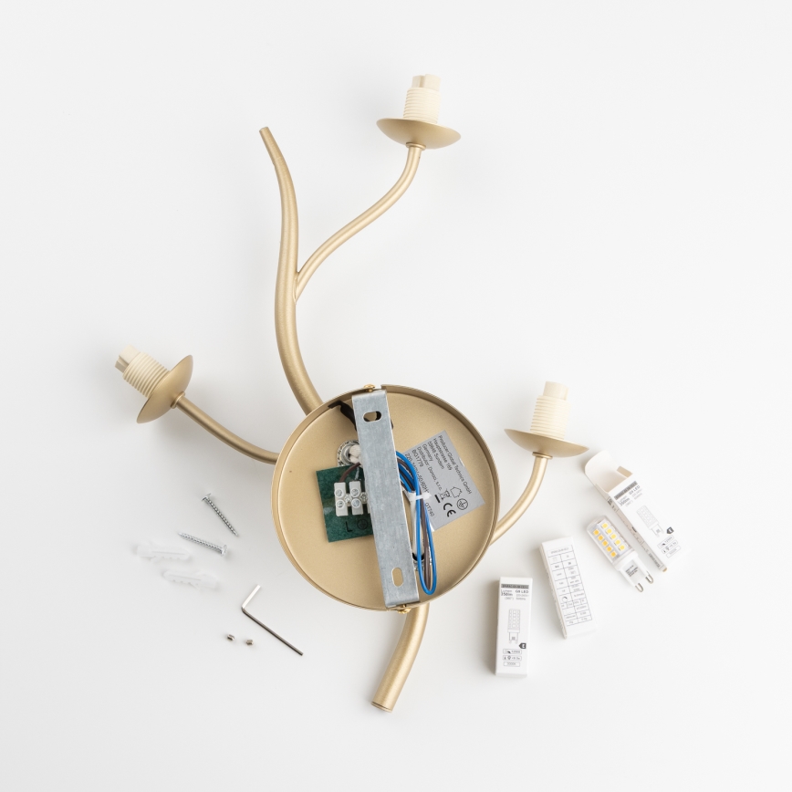 Brilagi - LED zidna lampa MISTEL 3xG9/3W/230V zlatna/bela