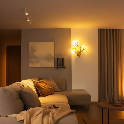 Brilagi - LED zidna lampa MISTEL 3xG9/3W/230V zlatna