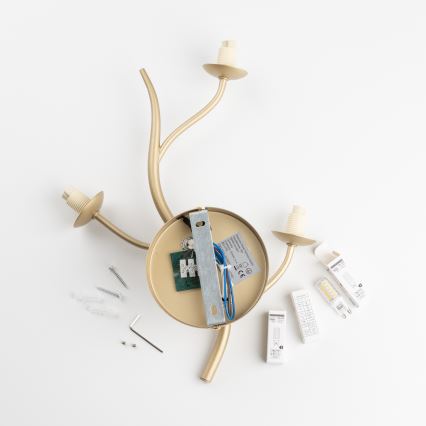 Brilagi - LED zidna lampa MISTEL 3xG9/3W/230V zlatna