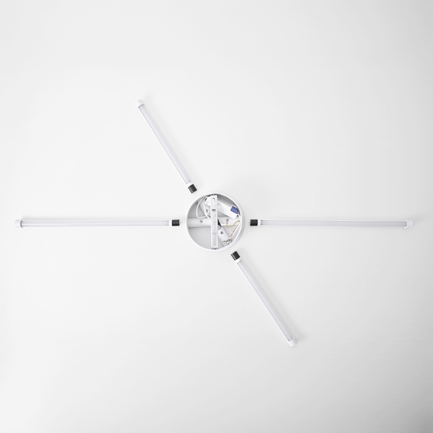 Brilagi - LED zidno svetlo LUGO QUATTRO LED/16W/230V bela