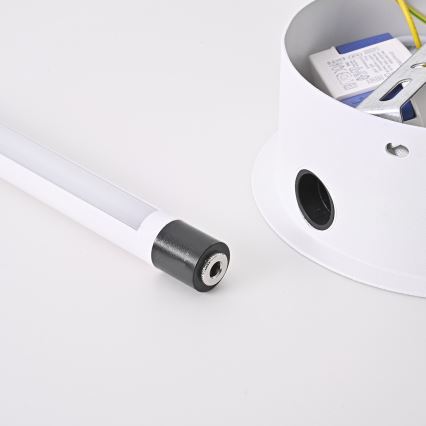 Brilagi - LED zidno svetlo LUGO TRE LED/14W/230V belo