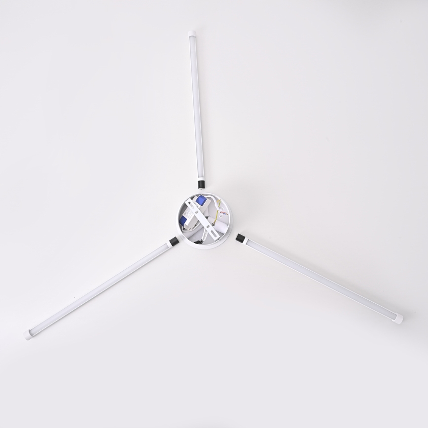 Brilagi - LED zidno svetlo LUGO TRE LED/14W/230V belo
