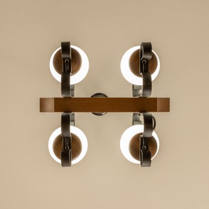 Brilagi - Luster na lancu QUEEN 4xE14/40W/230V buk/orah