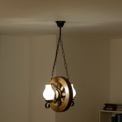 Brilagi - Luster na lancu ROATA 2xE14/40W/230V buk/orah