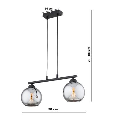 Brilagi - Luster na sajli DIOR 2xE27/60W/230V crna/zadimljena siva