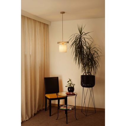 Brilagi - Luster na sajli FOREST 1xE27/15W/230V borovina/braon/krem