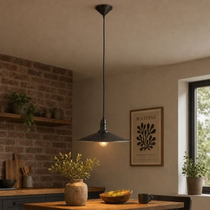 BRILAGI - Luster na sajli FORGE 1xE27/60W/230V prečnik 36 cm braon