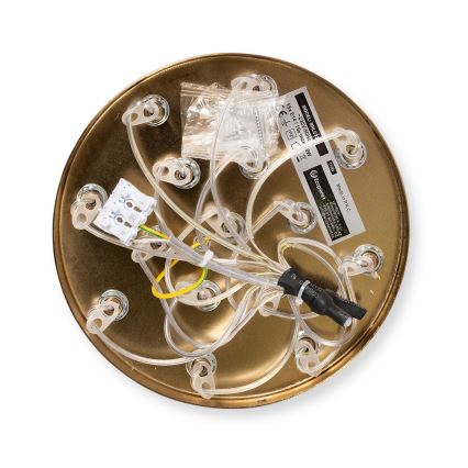 Brilagi - Luster na sajli GLOBE 15xE14/15W/230V bela