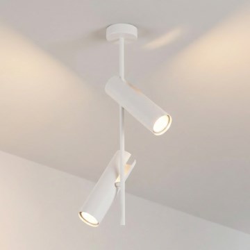 Brilagi - Luster na šipci BRANCH 2xGU10/30W/230V beli