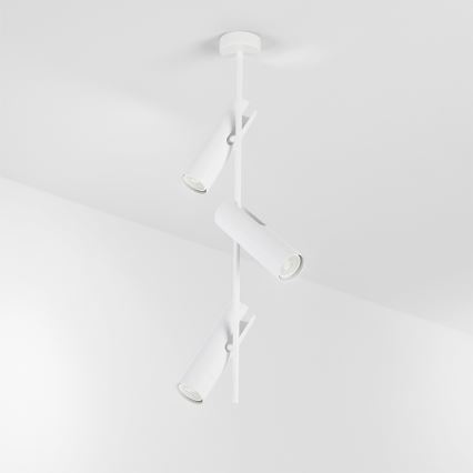 BRILAGI - Luster na štangu BRANCH 3xGU10/30W/230V bela