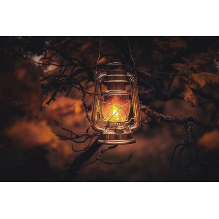 Brilagi - petrolejska lampa LANTERN 28 cm bakarna