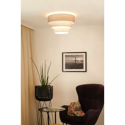 Brilagi - Plafonska svetiljka ALASKA LUNETA 1xE27/15W/230V prečnika 45 cm siva/krem