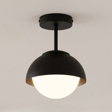 BRILAGI - Plafonski luster COSMO 1xE27/60W/230V crni