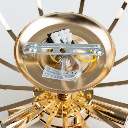 Brilagi - Plafonski luster CRYSTAL 6xE14/60W/230V zlatna