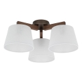 Brilagi - Plafonski luster LATTE 3xE27/15W/230V bor/bela
