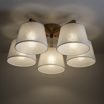 Brilagi - Plafonski luster LATTE SABIA 5xE27/15W/230V bor/bela