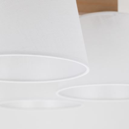 Brilagi - Plafonski luster LATTE SABIA 5xE27/15W/230V bor/bela
