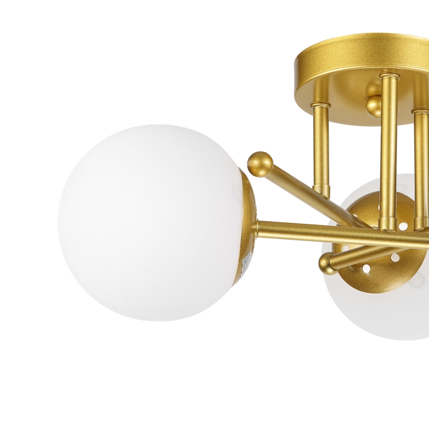 Brilagi - Plafonski luster MALIVA 3xE14/15W/230V zlatna/bela