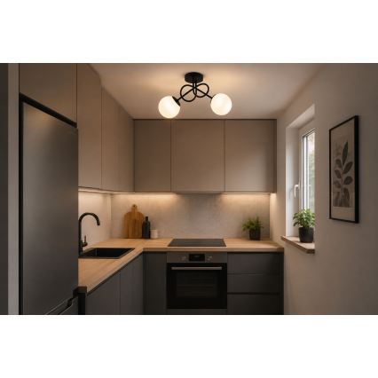 BRILAGI - Plafonski luster MILO 2xE27/60W/230V crni